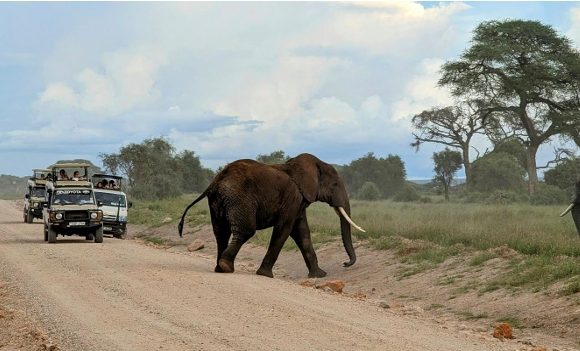 Exploring Amboseli – Hidden Gems and Local Culture